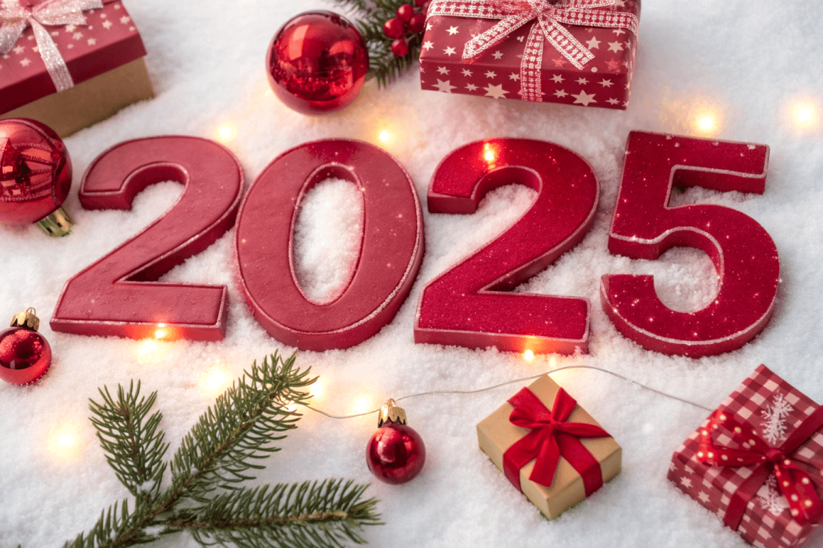 С наступающим Новым 2025 годом!